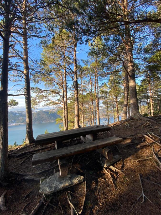 Chalet Orkanger Convenience And Serenity Exteriér fotografie